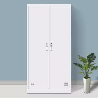 定制铁皮更衣柜 二门850W*420D*1800H