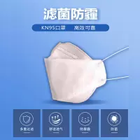 KN95 防飞沫防雾霾防尘防菌 10支装