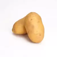新鲜黄心农家小土豆马铃薯蔬菜