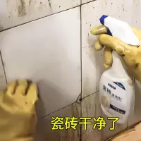 苏宁自营大公鸡头(CHANTE CLAIR)植物香型 500ml 浴室清洁剂
