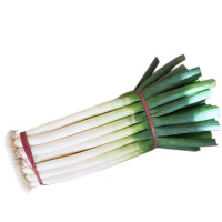 新鲜京葱散装销售
