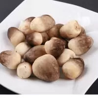 清水草菇食用菌杂菌
