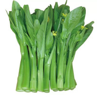 新鲜广东菜心散装按斤销售