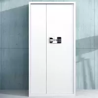卓澳(ZHUOAO)保密柜文件柜双保险铁皮柜办公资料柜档案柜钢制防盗柜灰白国宝锁通门不带斗款