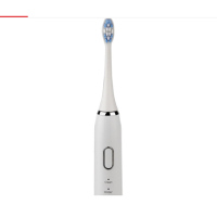 纵贯线 电动牙刷 DY-01A