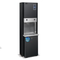 飞天鼠(FTIANSHU)商用开水器大型直饮水机全自动电热 双头双开水TX-K30G