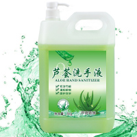 嘉禧源 卫伞泡沫芦荟清香大桶装洗手液5kg(单位:桶)