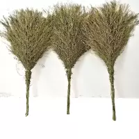 含叶2100竹笤帚大扫帚清洁清扫扫帚 10把/捆