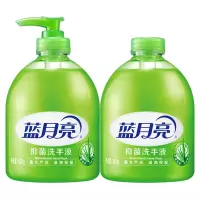 蓝月亮 洗手液芦荟抑菌500g瓶+500g瓶补优惠组合装