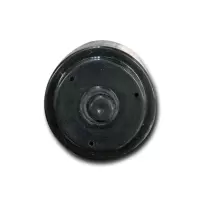 空滤器清洁指示器标顶(BIAODING) BD3103 KBZ-2d(3.5Bar)