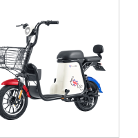 新日48伏锂电池新国标电动自行车车C1