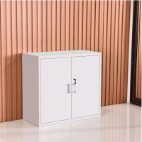 定制款储物柜H600*W800*D450mm 优质铁皮加工制作 带锁闭功能(图片仅供参考)(一个装)