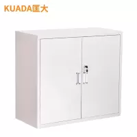 匡大 铁皮文件柜钢制办公柜资料柜