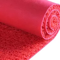 加厚防滑喷丝门垫丝圈地毯 定制 红色
