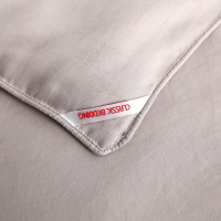 金丝莉(kintheri) JB-1087西子·匠心蚕丝被 1.8m*2.1m 蚕丝被