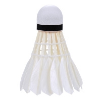 SCP 羽毛球 SCP-13989 训练级羽毛球 12个/筒（筒）