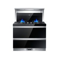 Reg/雷哲 X2款德国集成灶一体灶环保灶侧吸式 下排自动清洗750mm