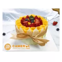 雪贝尔 生日蛋糕100元 限广州市