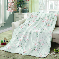 LOVO 爱妮 春夏被 150x215cm VSQ1524-1