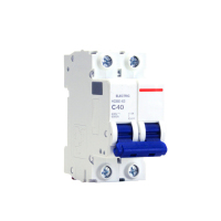 萃姿尔(TRESOR)小型断路器空气开关 断路器空开2P40A