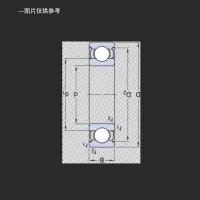 进口原装SKF深沟球轴承 6309-Z/C4 货期120天 不涉及维保