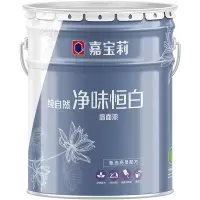 嘉宝莉（CARPOLY）净味恒白乳胶漆内墙墙面漆 水性环保油漆涂料 20kg面漆