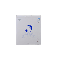 澳柯玛(AUCMA)冷冻节能速冻柜 迷你家用小型单温冰柜冷柜 103升