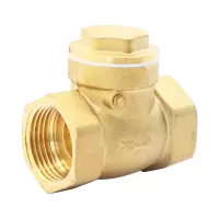 奥华 卧式止回阀 黄铜止水阀 规格:DN40 一寸半