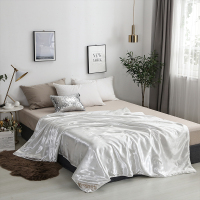 金丝莉(kintheri) JB-1093天蚕美肤被 180*210cm 天蚕美肤被