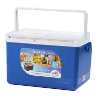 嘉特(GiNT) 车载保温箱11L/WV1100-B