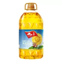 九三(JIUSAN) 葵花籽油5L