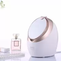 SKG3186蒸脸器蒸脸仪喷雾机脸部加湿器补水仪