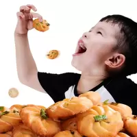 垦丁旺 香葱芝麻小饼干 曲奇饼干小包装 400/箱 特惠两箱装