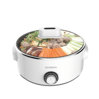 创维（SKYWORTH）F16煮意电火锅 单个装