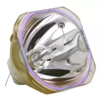 凤凰原裸通用爱普生投影机ELPLP46,EB-G5200,EB-G5300,G5350