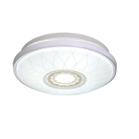 FSL 佛山照明 LED吸顶灯三段调光圆形卧室客厅书房现代简约吸顶灯 绽放白吸顶灯三色调光