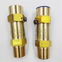 冷冻机SFA-22C300 低温冷媒氟利昂空调制冷机安全阀DN25