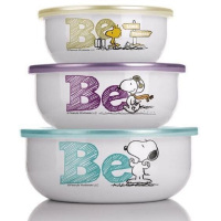 史努比(SNOOPY)悦活三入搪瓷碗 SP-B301 悦活三入搪瓷碗 单套价格