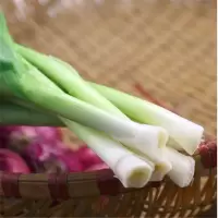 新鲜新蒜苗 20斤/件