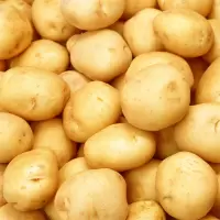 新鲜土豆 50斤/件