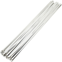 卡夫威尔 自锁式304不锈钢扎带 扎线 户外 耐腐蚀耐高低温扎带 4.6*300mm 30支装 OT2883