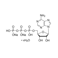 5’-腺苷三磷酸二钠盐(5’-ATP-Na2,sigma A3377-1G)
