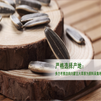 袋装瓜子 100起订