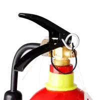 洪湖 MT/7 手提式二氧化碳灭火器 （单位：具）①