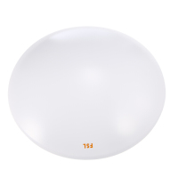 LED吸顶灯 全白13W (1只装)