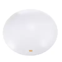 LED吸顶灯 全白13W (1只装)