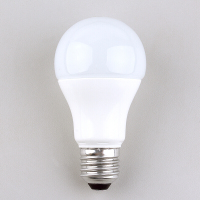 LED灯泡 5W 220V