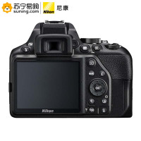 尼康(Nikon)D3500 单反相机 数码相机 (AF-S DX 尼克尔 35mm f/1.8G 单反镜头)