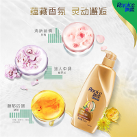 飘柔(Rejoice)人参滋养修护洗发露750ML*12瓶装