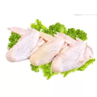 新鲜鸡全翅